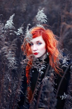 groteleur:  Red hair is the rarest natural