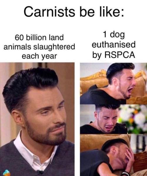 funnyveganmemes-blog:  Follow us @funnyveganmemes for the FUNNIEST vegan memes on the internet!