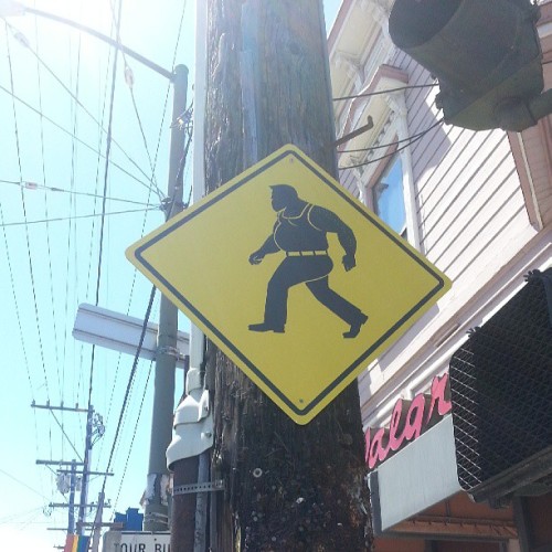 tonitonirocca:
“ Bara Crossing.
”