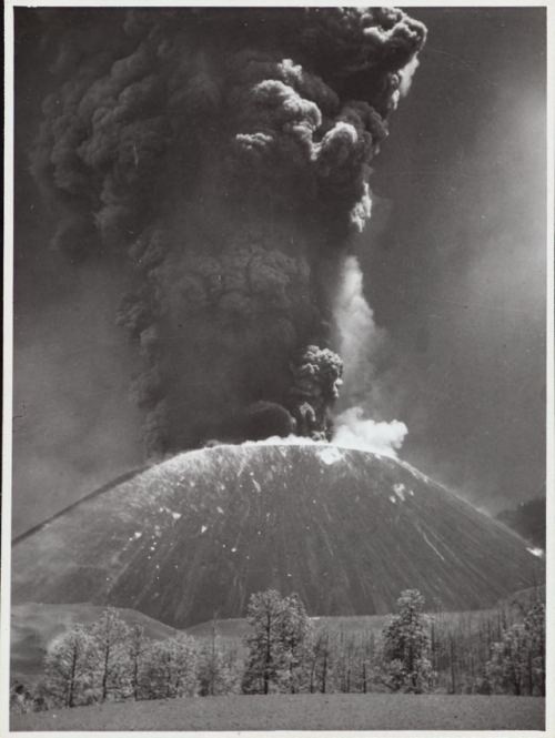 nemfrog: Paricutin Volcano erupting in April 1943. Michoacán, Mexico. Arno Brehme, field work photog