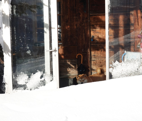 Too much snow to leave the cabin for a walkmission aborted…