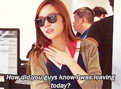 sunmelons-blog:sica’s million dollar question