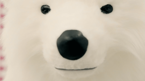 oceanmaster:  Protect Kyary Pamyu Pamyu’s Polar Bear friend at all costs. Tumblr’s GIF upload is actually behaving for once, what the fuck
