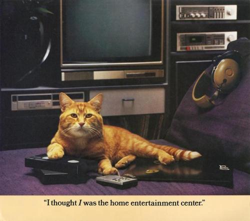 theunimpairedcondition:c86:Morris: A Cat For Our Times, 1986The more things change….