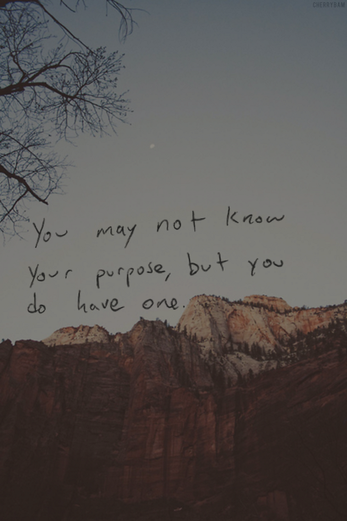 thelovenotebook:  EVERYTHING LOVE & PERSONAL 
