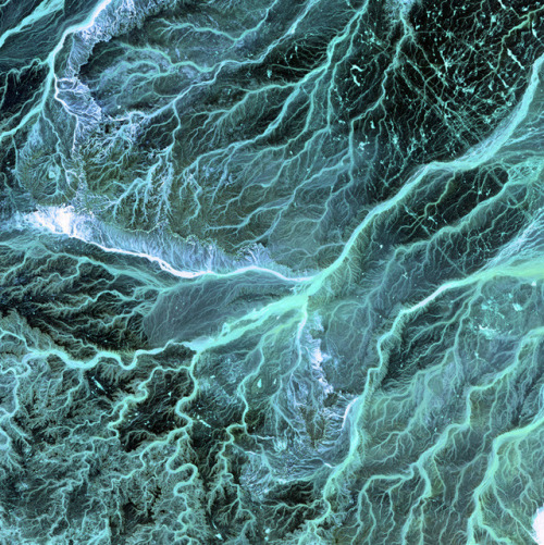 who-:  Meandering wadis combine to form dense, branching networks across the stark, arid landscape of southeastern Jordan. The Arabic word “wadi” means a gully or streambed that typically remains dry except after drenching, seasonal rains. Image courtesy