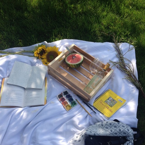 sunliterally:a+ picnic