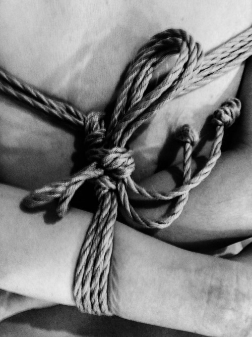 justscreenshots:Shibari &amp; Photo Ren Yagami