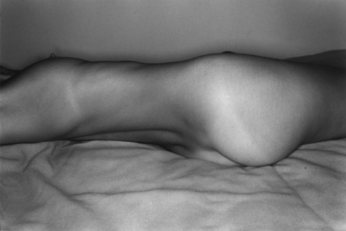 Sex mpdrolet:   Lee Friedlander   pictures