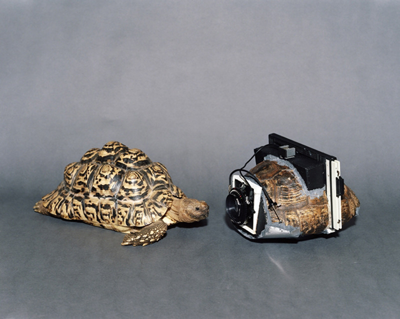 likeafieldmouse:  Taiyo Onorato &amp; Nico Krebs - As Long as it Photographs