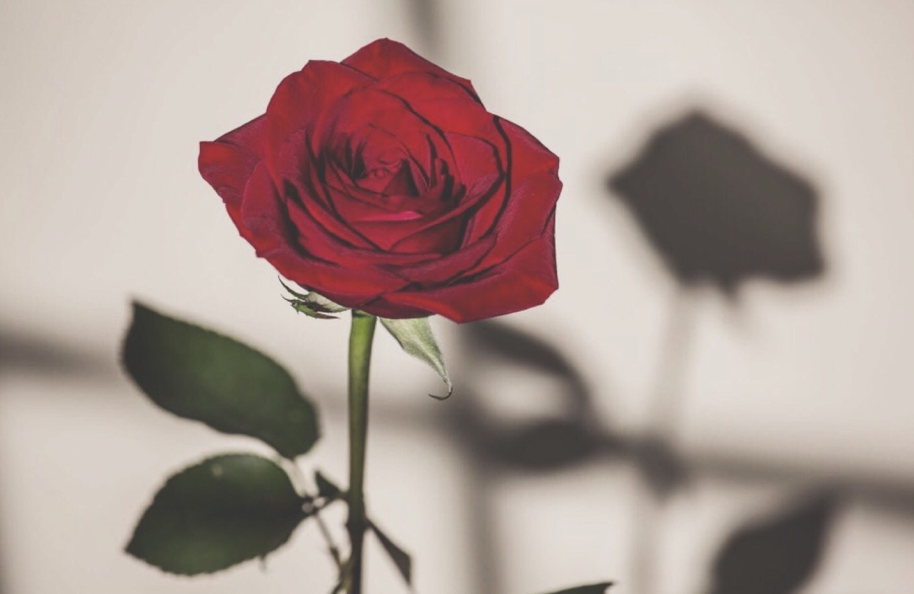 تعاطف Explore Tumblr Posts And Blogs Tumgir