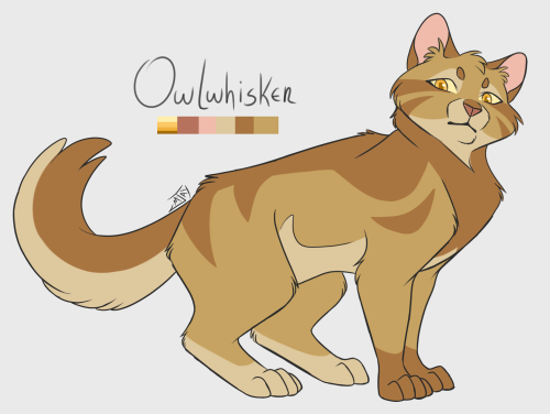  Designing #WCOTW - Lilywhisker - Owlwhisker - SootSpeedPaints for these cats –> [here]I st