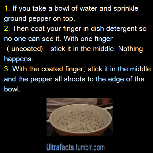 ultrafacts:  Source If you want more facts, follow Ultrafacts