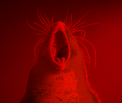 AAAAAAAAAAAAAAAAAAAAAAAAAAAAAAAAAAAAAAAAAA