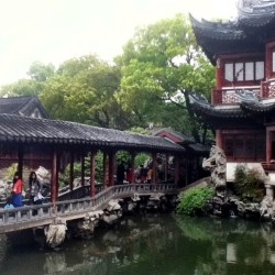 Yuyuan garden #sgg #shanghai #china #explorethecity