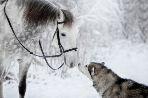 gardenofelegance: jmoney867: friendship By Svetlana Pisarev