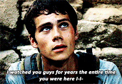 not when i've spent my entire life loving you 