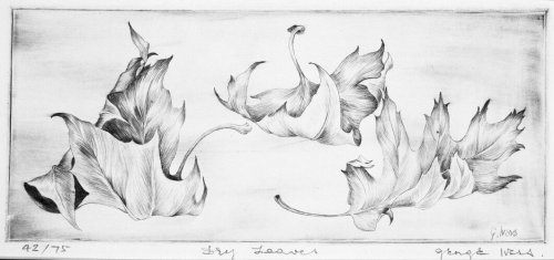 Dry Leaves, George Ivers, mid-20th century, Brooklyn Museum: Contemporary ArtSize: 4 &frac12; x 10 &