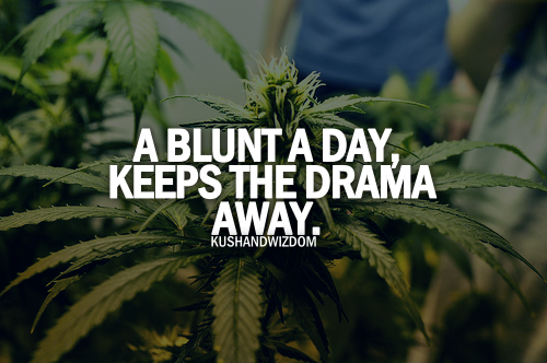 KUSHANDWIZDOM