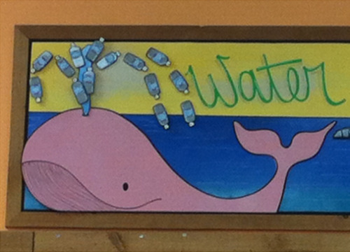 tiny-floating-whale:   Submitter: I saw a relative of yours on a sign at a Trader Joe’s  My reign of terror has begun >:)