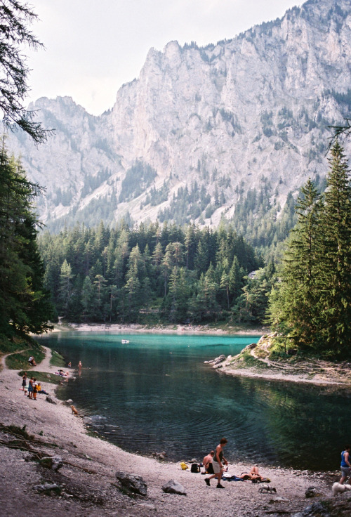 metrodorus:  rocks and greens -Mina- 