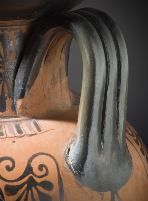 Neck-Amphora With a Man Playing a CitharaGreece, Attica, c. 510 BC 