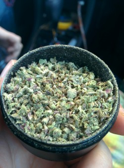 psychedelicguru: Gotta love the full grinder 