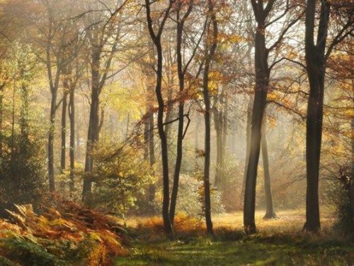 english-idylls: ♡ 
