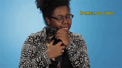 sizvideos:  Watch drunk people getting surprised by puppies 