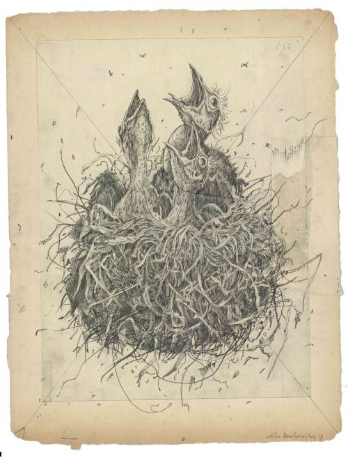 Eiko Borcherding (German, b. 1977, Aurich, Germany) - ALL: Untitled  Mixed Media Pencil Drawings  1,