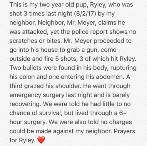 babyanimalgifs:  This has seriously annoyed me so much and I had to post it on here to try and get it around. This is seriously messed up on so many levels. If it were a human, the law would be that it was attempted murder. Please can we get this around