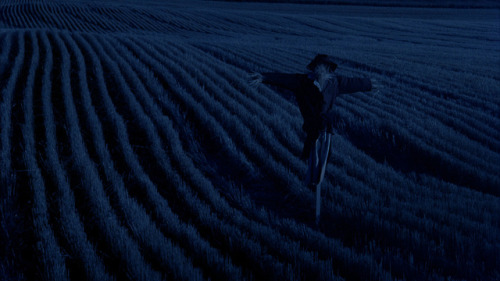 Terrence Malick aka Terrence Frederick Malick (American, b. 1943, Ottawa, IL, USA) - Days of Heaven,