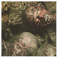  The Walking Dead, Prey    