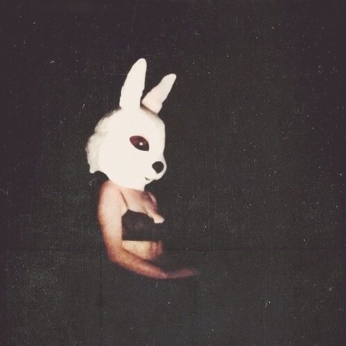 sexmedulla:  🐰