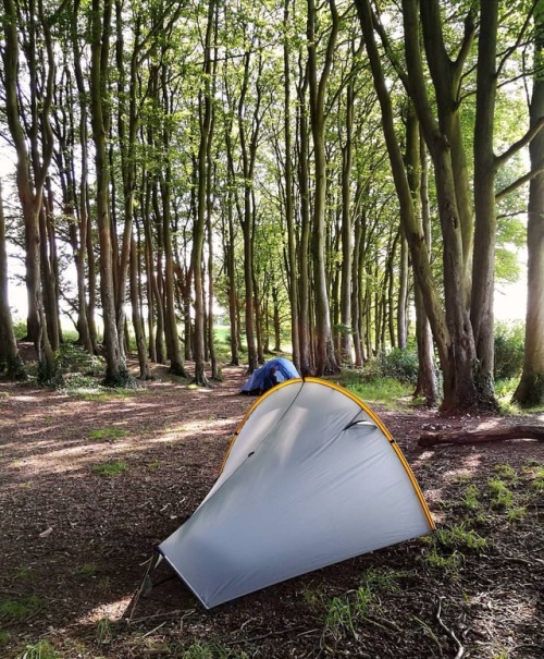 Tonight&rsquo;s #camp. Sometimes it feels like a rare luxury to camp under trees in the UK, but 