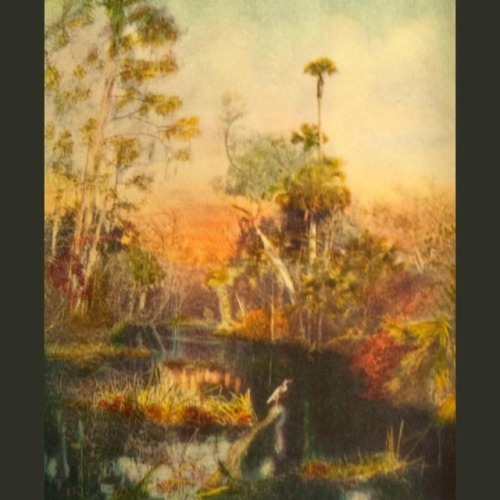 This hazy, dreamlike illustration of the Ocklawaha River is from an edition of Lafcadio Hearn’
