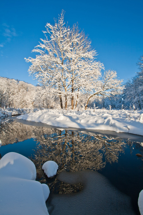 about-usa:  Frick Park - Pittsburgh - Pennsylvania - USA (by Jason Pratt)