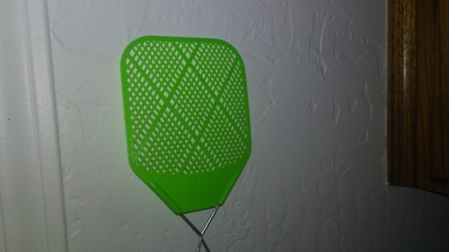 Can u spot the fly senor?