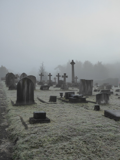 skull-designs: “ All the lonely people “  (Eleanor Rigby / The Beatles) Dorking Cemetery, Surrey