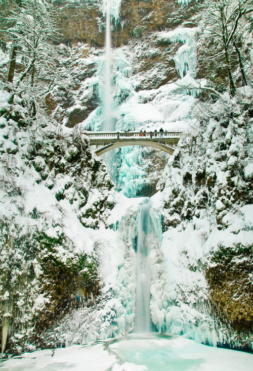 djferreira224: Multonomah Falls Ice and Snow ~ by Marshall Alsup