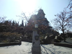 awkwarddinosauce:  Phantom Manor at Disneyland Paris. It is so much cooler than the Haunted Mansion. Like…seriously. It’s honestly a little terrifying, and just…haunting. The story behind the phantom is also just amazing. Ug. I want this one at