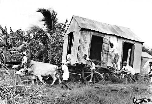 Déplacement de maison en Guadeloupe.