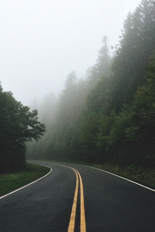 stvdy:  untitled by (greglil) 
