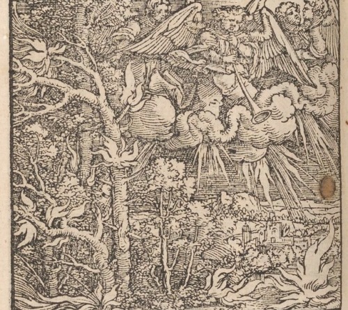 Apocalypsis S. Joannis, 1558