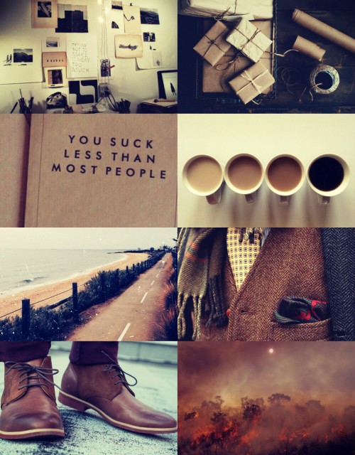 briar-rose-aesthetics - disaster