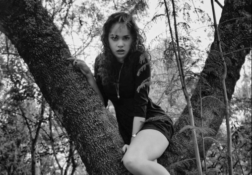 OScUrAmEnTe (JuNgLy) Copyright © Hector Gil Memoriaenazul.2016. All Rights Reserved. My Images May Not