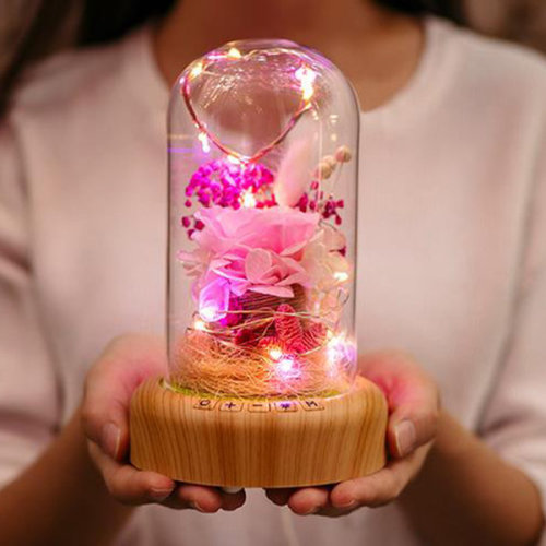 winner001fan: There are some Hot Items for You! => 3D LED Light Humidifier  => Bluetooth Speaker Flower Bedside Lamp  => Rose Rotating Projector  Night Light  => Spin Night Light  15% OFF New Discount Code : Crystal15 ✧Your first order