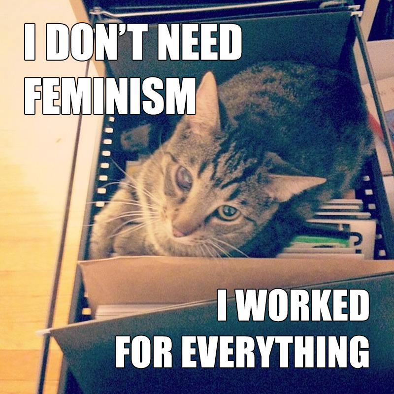 Confused Cats Against Feminism is brought to you by We Hunted the Mammoth, and by YOUR KITTIES. Submit!