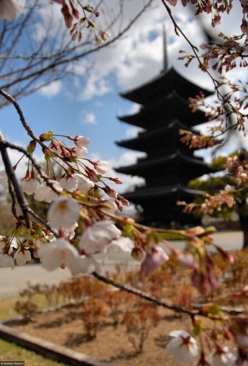 Shinto shrines