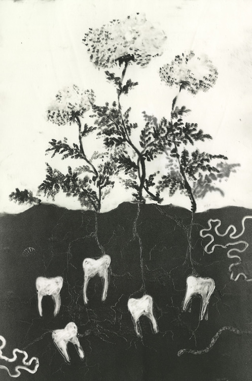 False Starts, Nightmares2016monoprint “False Starts” are the beginning images of ideas o